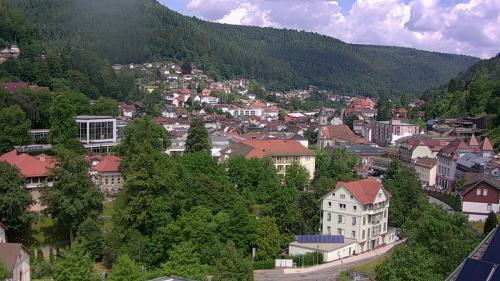 Webcam Bad Wildbad