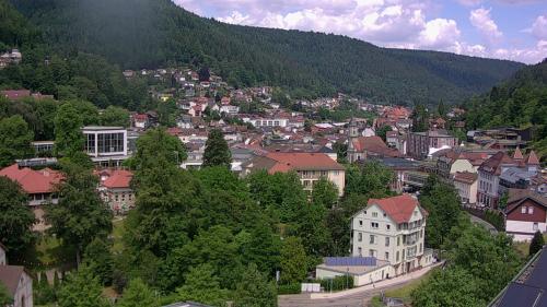 Webcam Bad Wildbad