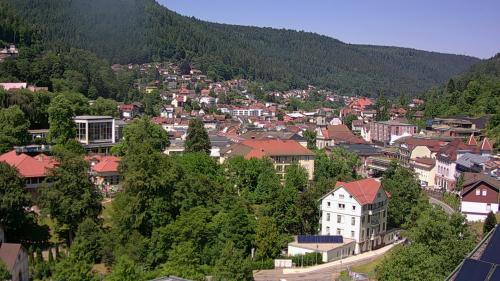 Webcam Bad Wildbad