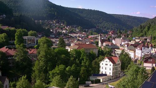 Webcam Bad Wildbad