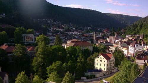 Webcam Bad Wildbad