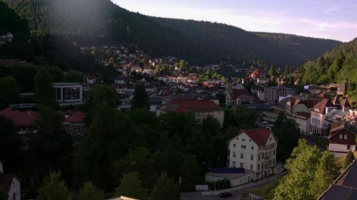 Webcam Bad Wildbad