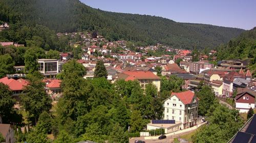 Webcam Bad Wildbad