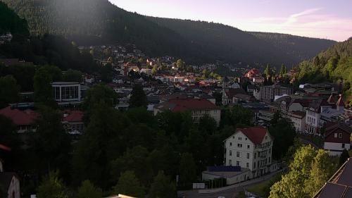 Webcam Bad Wildbad