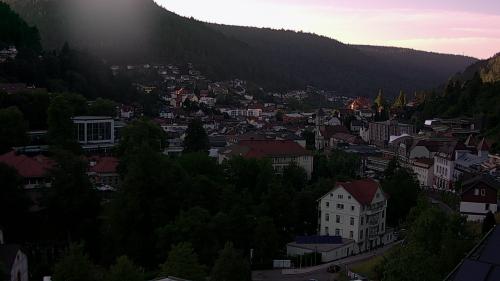 Webcam Bad Wildbad