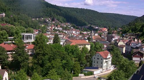 Webcam Bad Wildbad