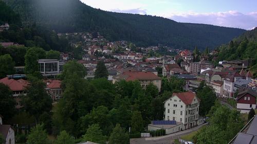 Webcam Bad Wildbad