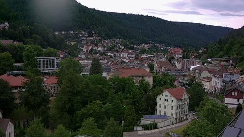 Webcam Bad Wildbad