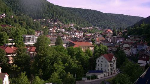 Webcam Bad Wildbad