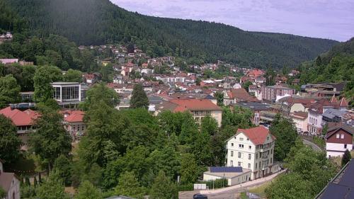 Webcam Bad Wildbad