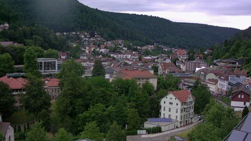 Webcam Bad Wildbad