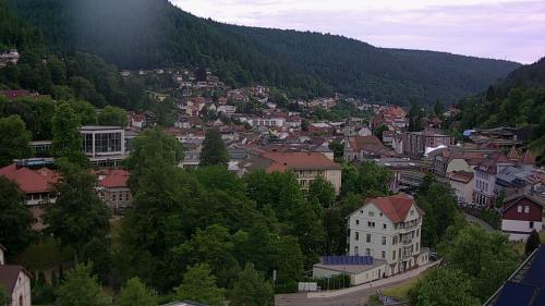 Webcam Bad Wildbad
