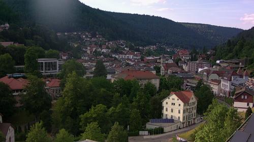 Webcam Bad Wildbad