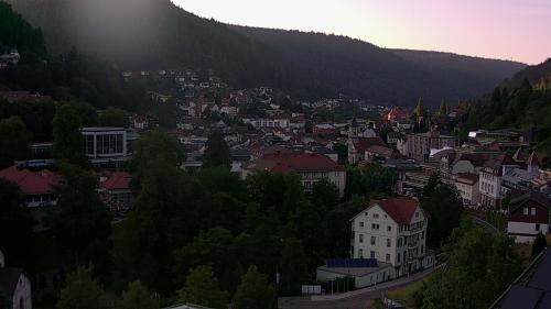 Webcam Bad Wildbad