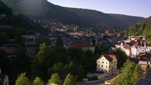 Webcam Bad Wildbad