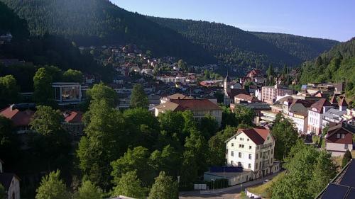 Webcam Bad Wildbad