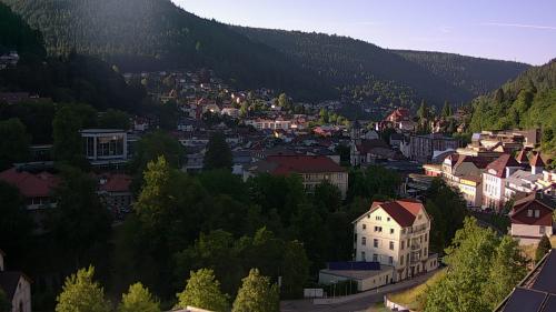 Webcam Bad Wildbad