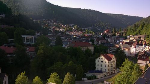 Webcam Bad Wildbad