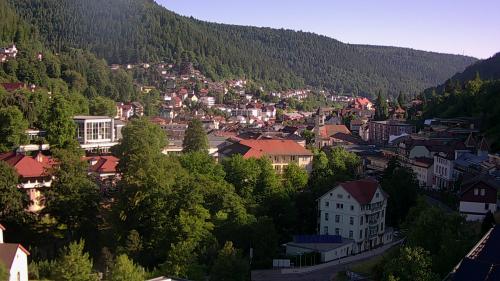 Webcam Bad Wildbad