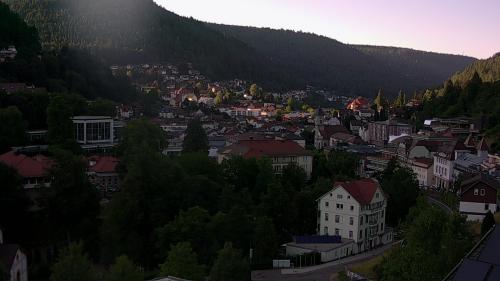 Webcam Bad Wildbad