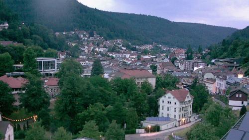Webcam Bad Wildbad