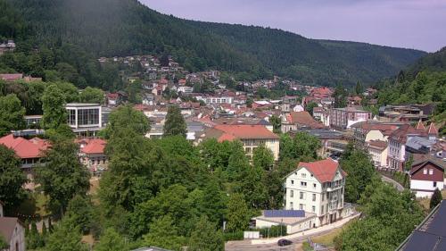 Webcam Bad Wildbad