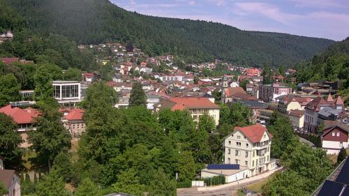 Webcam Bad Wildbad