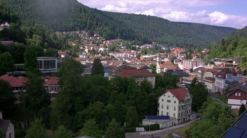 Webcam Bad Wildbad