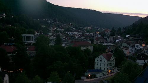 Webcam Bad Wildbad