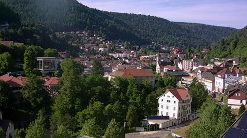Webcam Bad Wildbad