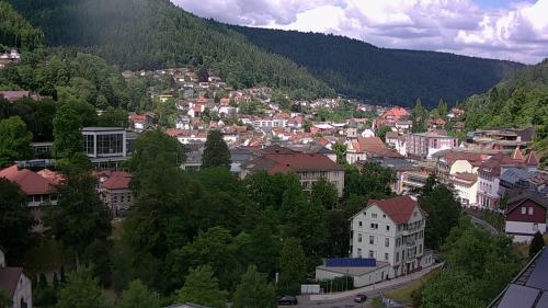 Webcam Bad Wildbad