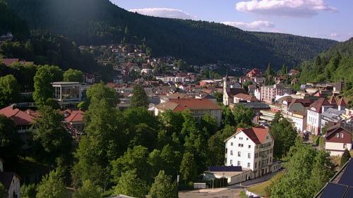 Webcam Bad Wildbad