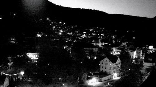 Webcam Bad Wildbad