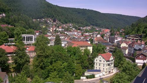 Webcam Bad Wildbad