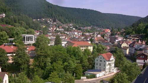 Webcam Bad Wildbad