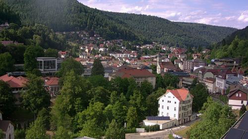 Webcam Bad Wildbad