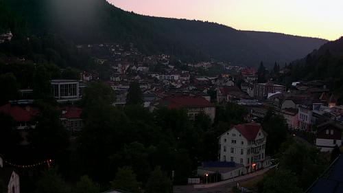 Webcam Bad Wildbad