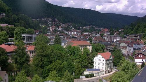 Webcam Bad Wildbad
