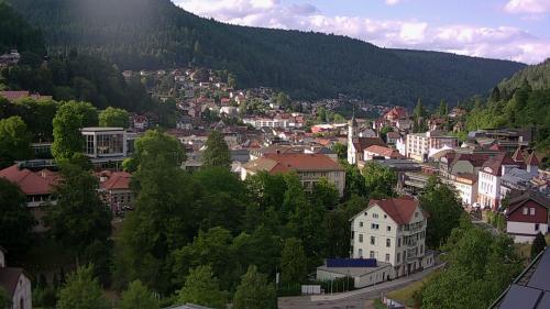Webcam Bad Wildbad