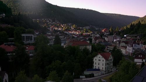 Webcam Bad Wildbad