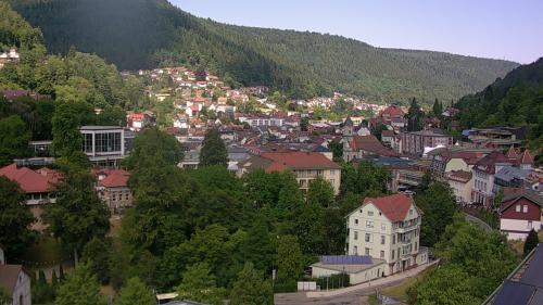 Webcam Bad Wildbad