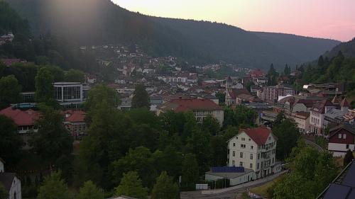 Webcam Bad Wildbad