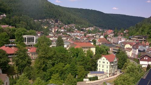 Webcam Bad Wildbad