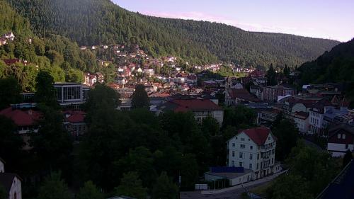 Webcam Bad Wildbad
