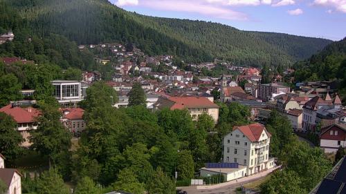 Webcam Bad Wildbad
