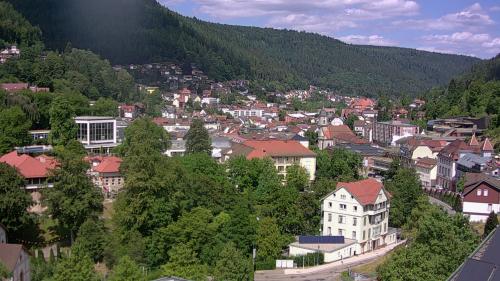 Webcam Bad Wildbad