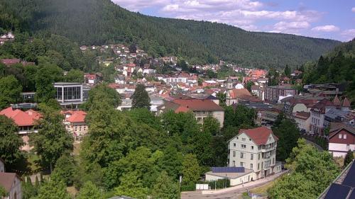 Webcam Bad Wildbad
