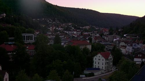 Webcam Bad Wildbad