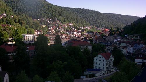 Webcam Bad Wildbad