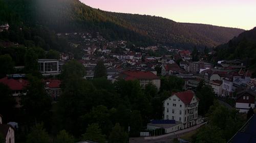 Webcam Bad Wildbad
